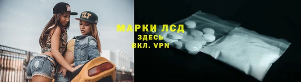 мдпв Богородск
