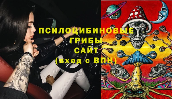мдпв Богородск