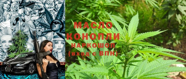 мдпв Богородск
