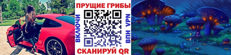 Галлюциногенные грибы Psilocybine cubensis  Купить  Можайск 